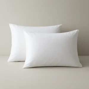 Support Pillow Pair